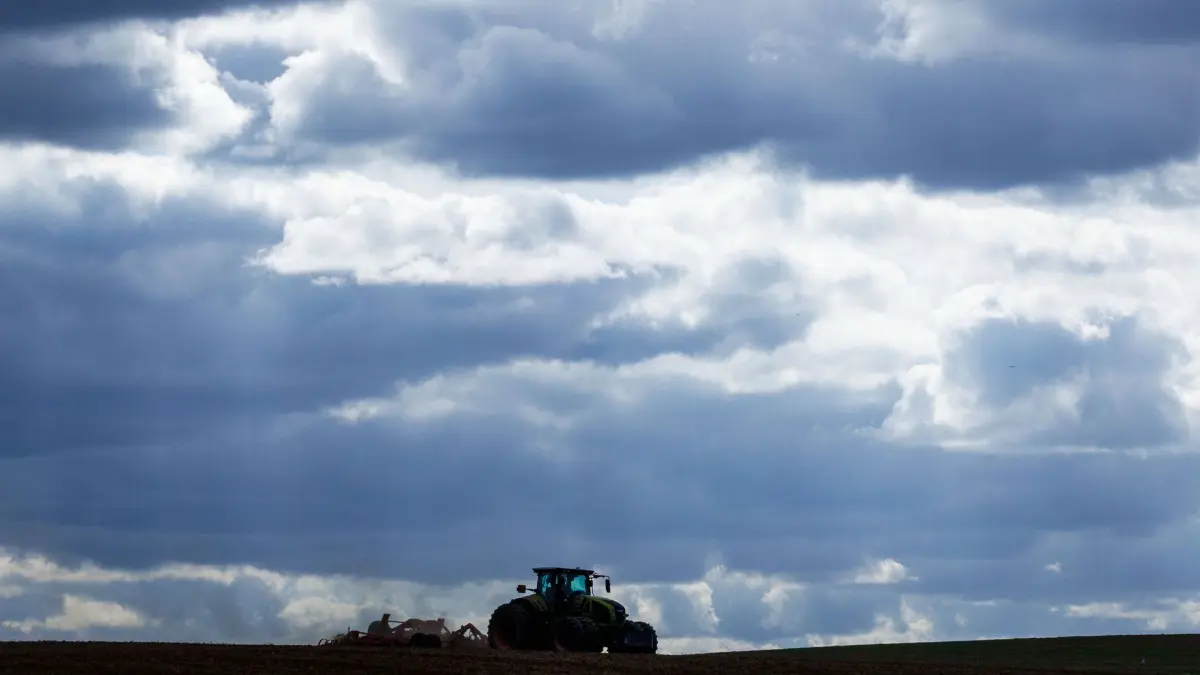 Erntebilanz in Mecklenburg-Vorpommern: 11.08.2026, Mecklenburg-Vorpommern, Rosenhagen: Ein Traktor zieht eine Egge über ein abgeerntetes Getreidefeld und bereitet den Acker auf die Aussaat vor. Die Landwirte in Mecklenburg-Vorpommern können in diesem Jahr laut Mecklenburg-Vorpommerns Agrarminister T. Backhaus auf eine durchschnittliche Ernte hoffen, müssen aber um Einnahmen und künftige Fördermittel bangen. Foto: Jens Büttner/dpa +++ dpa-Bildfunk +++