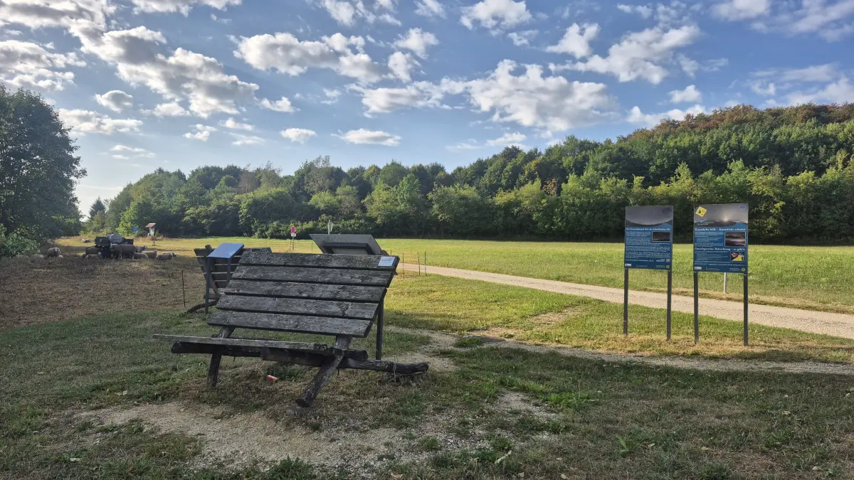 Sterguckerplatz, Sternenpark Zainingen