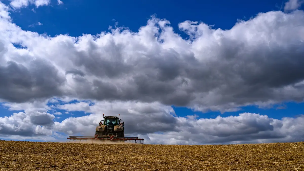 Trockenheit in der Landwirtschaft: 11.08.2026, Brandenburg, Podelzig: Ein Landwirt bearbeitet mit seinem Traktor und einem Striegel ein abgeerntetes Getreidefeld. Foto: Patrick Pleul/dpa +++ dpa-Bildfunk +++