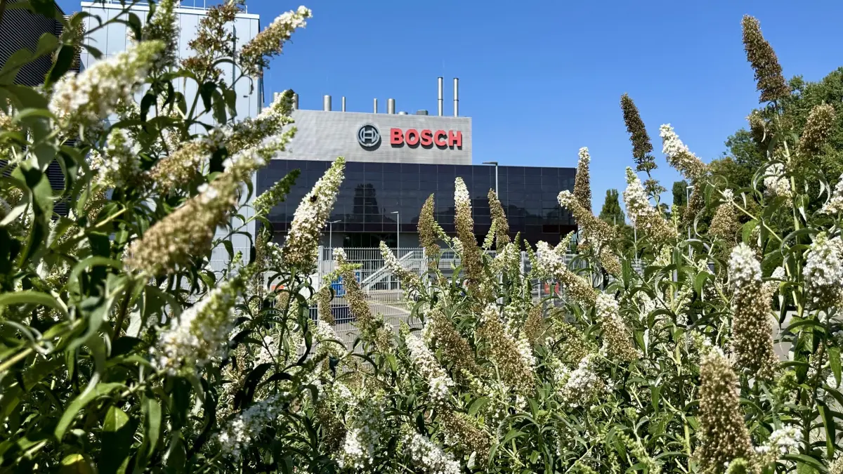 Bosch Reutlingen