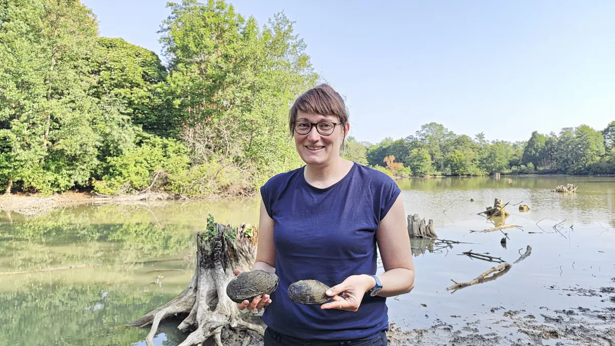 Die Biologin Dr. Verena Huber hält am Ufer des Breitenbachsees Schalen der Großen Teichmuschel in den Händen.