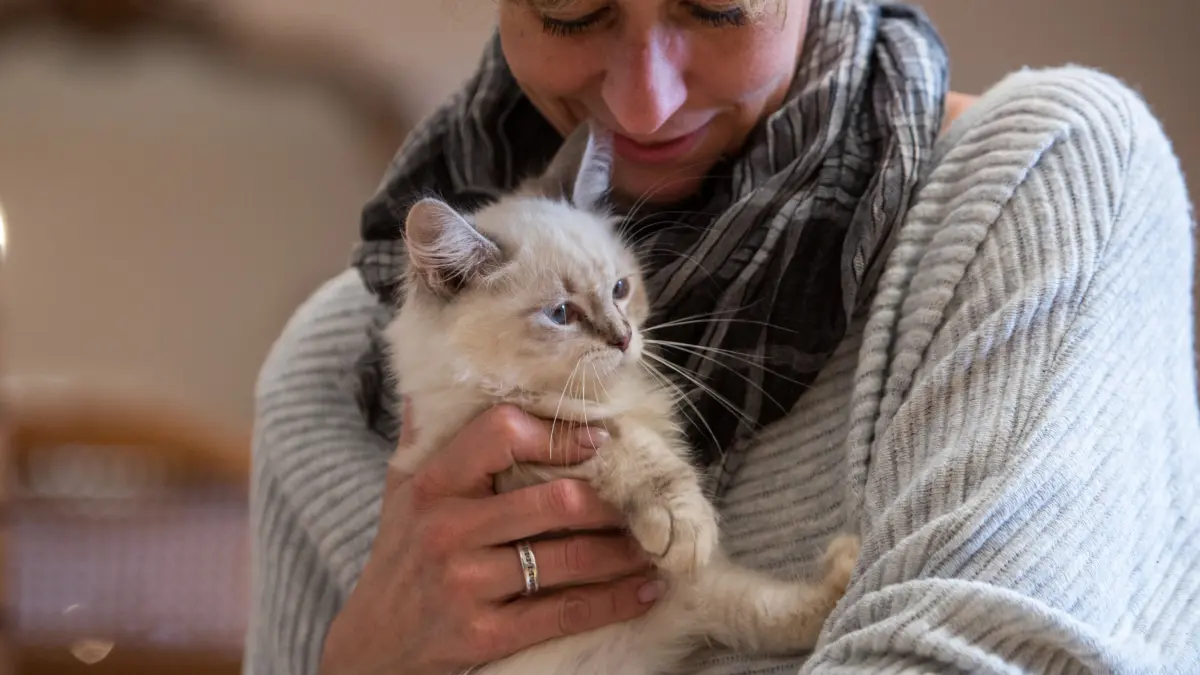 Wie erkennen Katzen eigentlich ihre Menschen?