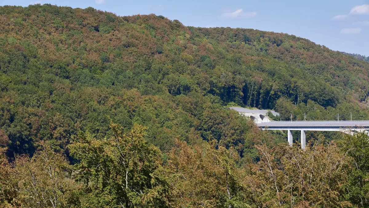 Klimawandel und die Folgen der Trockenheit. Langanhaltende Hitze und die damit verbundene Trockenheit führen auf der Schwäbischen Alb, wie hier bei Mühlhausen im Täle, zu erheblichem Schäden bei den Bäumen. Blätter und Nadeln der Laub- und Tannenbäume verfärben sich frühzeitig und fallen ab. Wenig bis gar kein Regen lassen zudem die Grundwasserpegel sinken. Außerdem steigt die Waldbrandgefahr. Im Bild: Eiin Waldgebiet bei Mühlhausen im Täle . Rechts im Bild der Boßlertunnel ein Teil der neuen Filstalbrücke bei Mühlhausen im Täle.