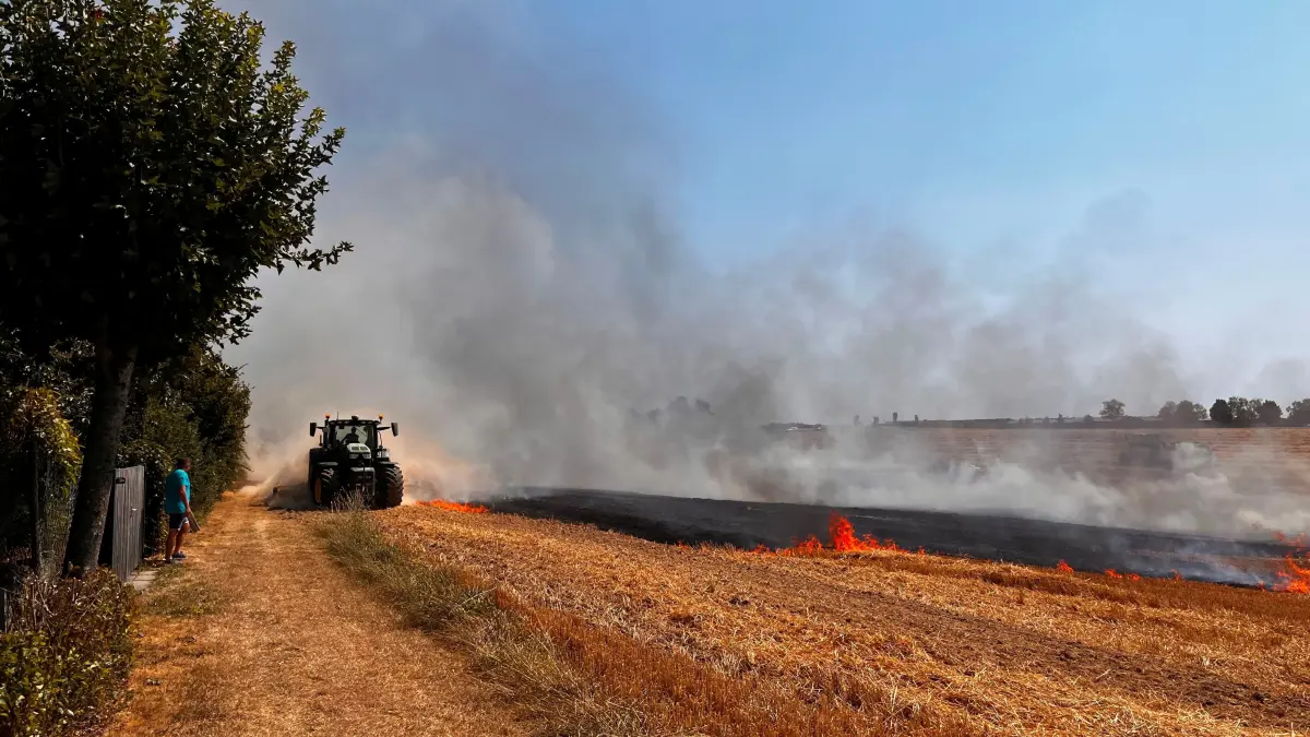 Vegetationsbrand bei Rot am See