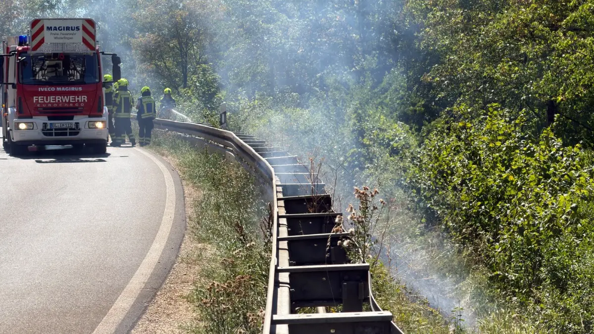 Ein Flächenbrand hat am Donnerstagmittag die Feuerwehr an der B463 zwischen Straßberg und Winterlingen gefordert.