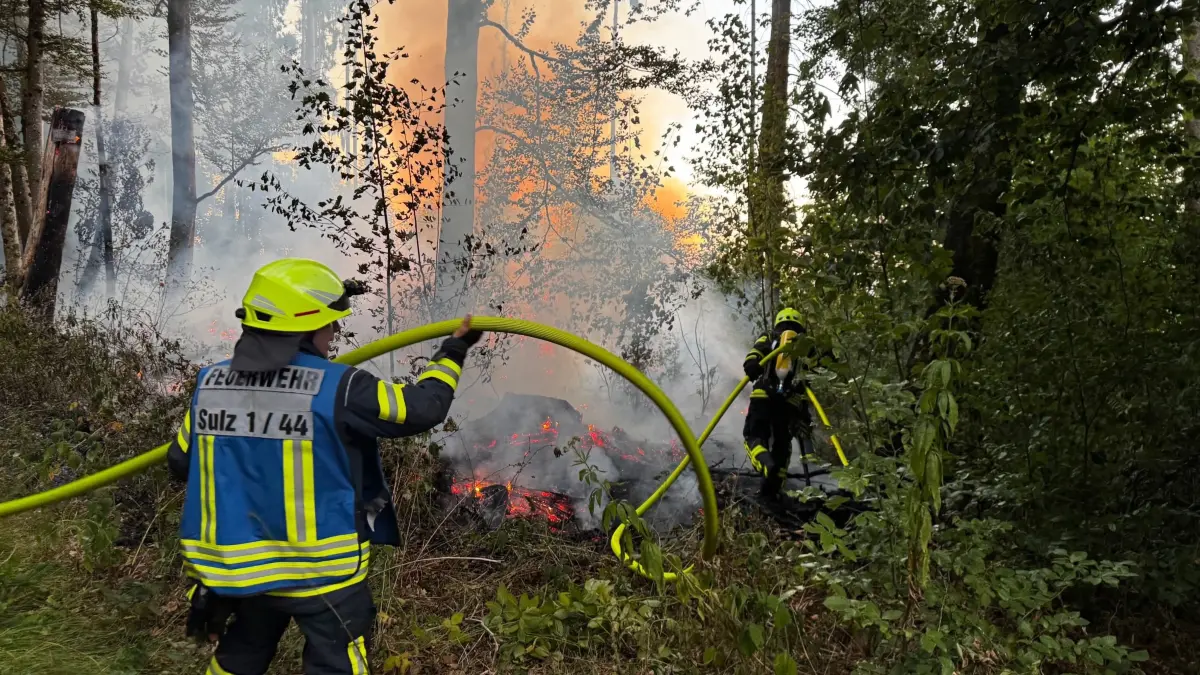Die Sulzer Feuerwehrabteilungen Stadt und Glatt brachten den Brand unter Kontrolle.