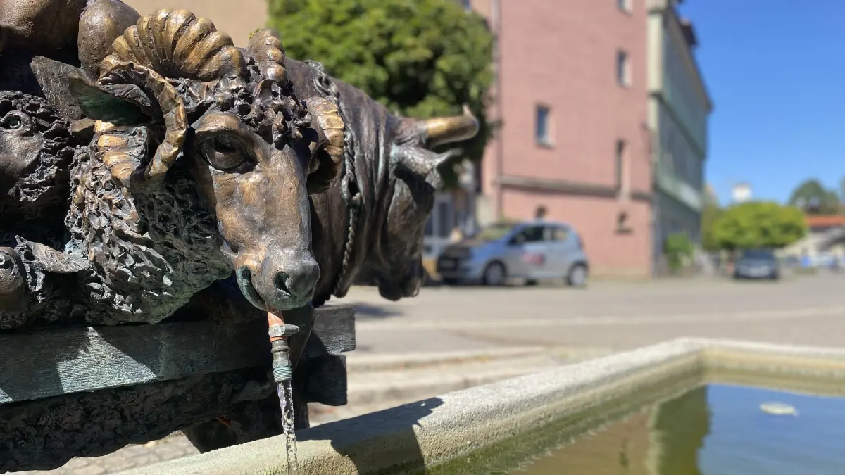 Der Brunnen am Viehmarkt in Ehingen. Er hat zwei Geschwister in der Stadt.