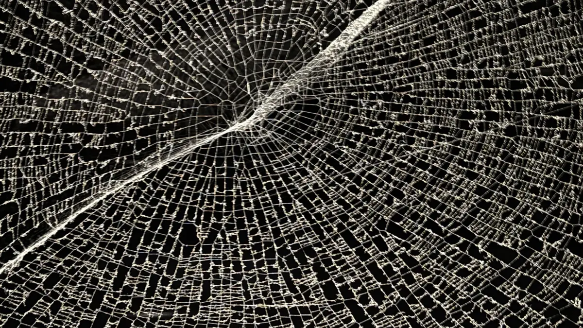 Die Spinne als Vorbild: eine Arbeit von Tomás Saraceno.