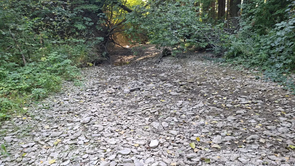 Hier gibt es sowieso nichts mehr zu schöpfen: Die Steinlach ist an manchen Stellen schon seit Tagen völlig ausgetrocknet.