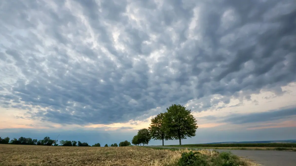 Wetter in Baden-Württemberg: 16.08.2026, Baden-Württemberg, Uttenweiler: Regenwolken ziehen am Morgen auf. Foto: Thomas Warnack/dpa +++ dpa-Bildfunk +++