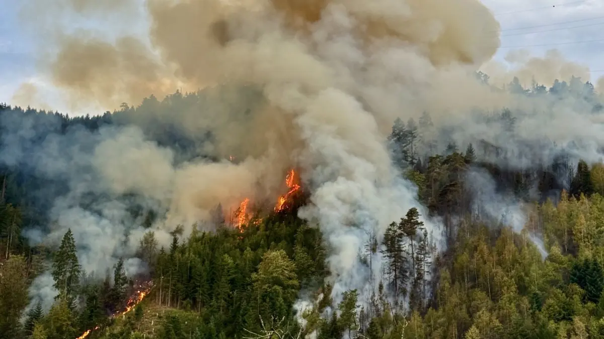 Waldbrand Schramberg