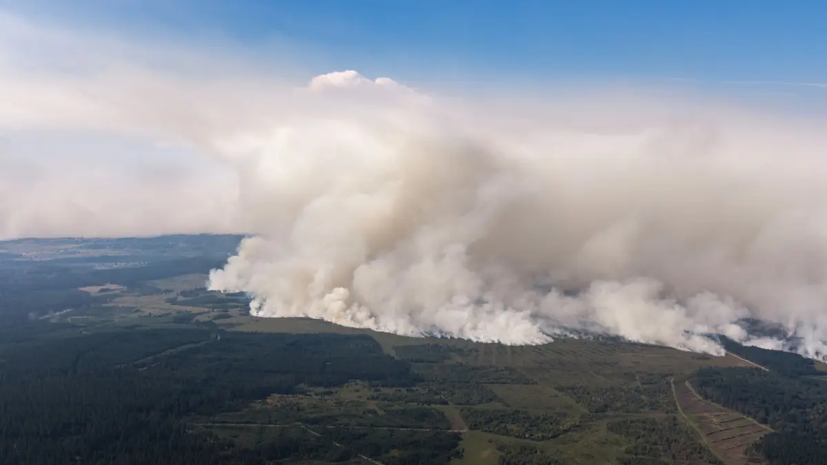 Waldbrand in Belgien
