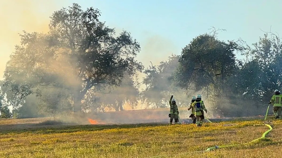Eislingen Wiesenbrand nödlich Vogelgarten Richtung Stauferpark