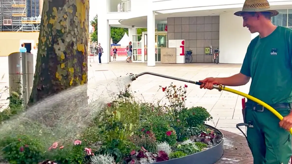 Stadt Ulm bepflanzt Baumrondelle in der Fußgängerzone Hirschstraße