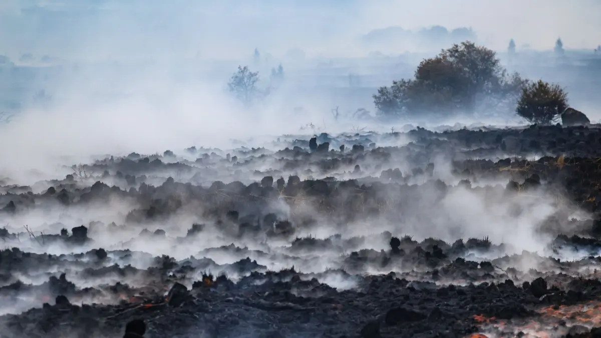 Waldbrand im Hohen Venn: 18.08.2026, Belgien, Sourbrodt: Rausch schwebt über der verbrannten Landschaft in der Nähe des Signal de Botrange am Ort des Brandes im Naturschutzgebiet Hohes Venn. Die Bekämpfung des Waldbrandes ist wegen des torfhaltigen Bodens in dem Naturschutzgebiet besonders schwierig. Foto: Bruno Fahy/Belga/dpa +++ dpa-Bildfunk +++
