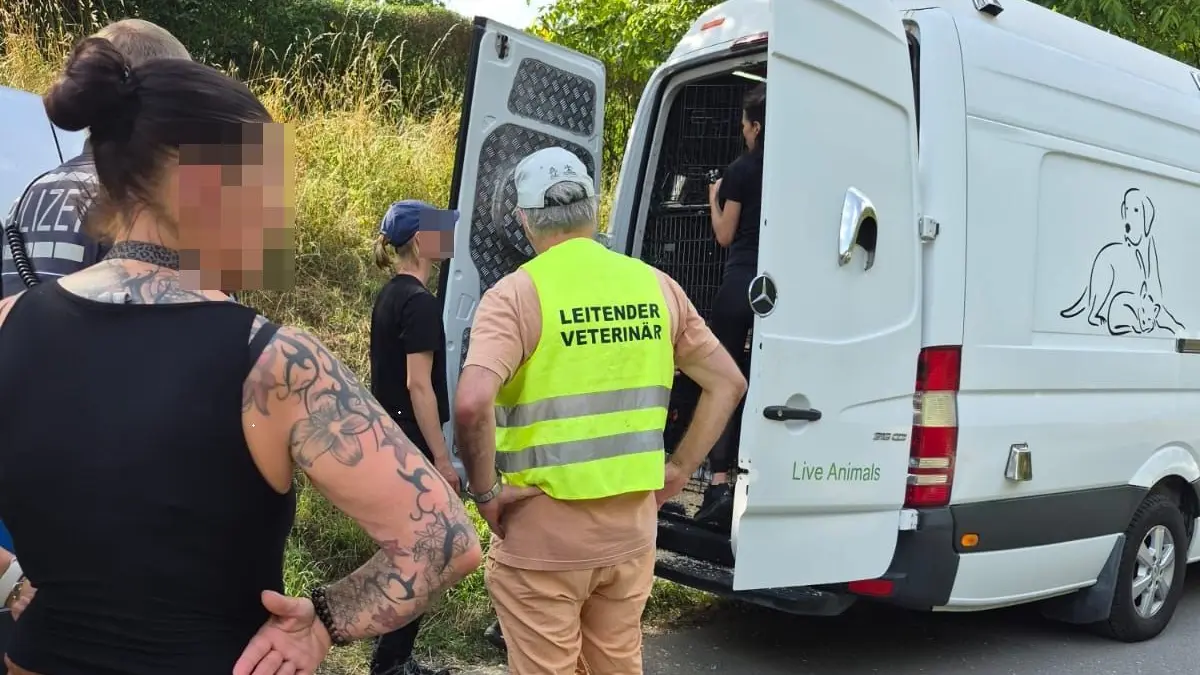 Kontrollierter Tiertransport bei Langenau