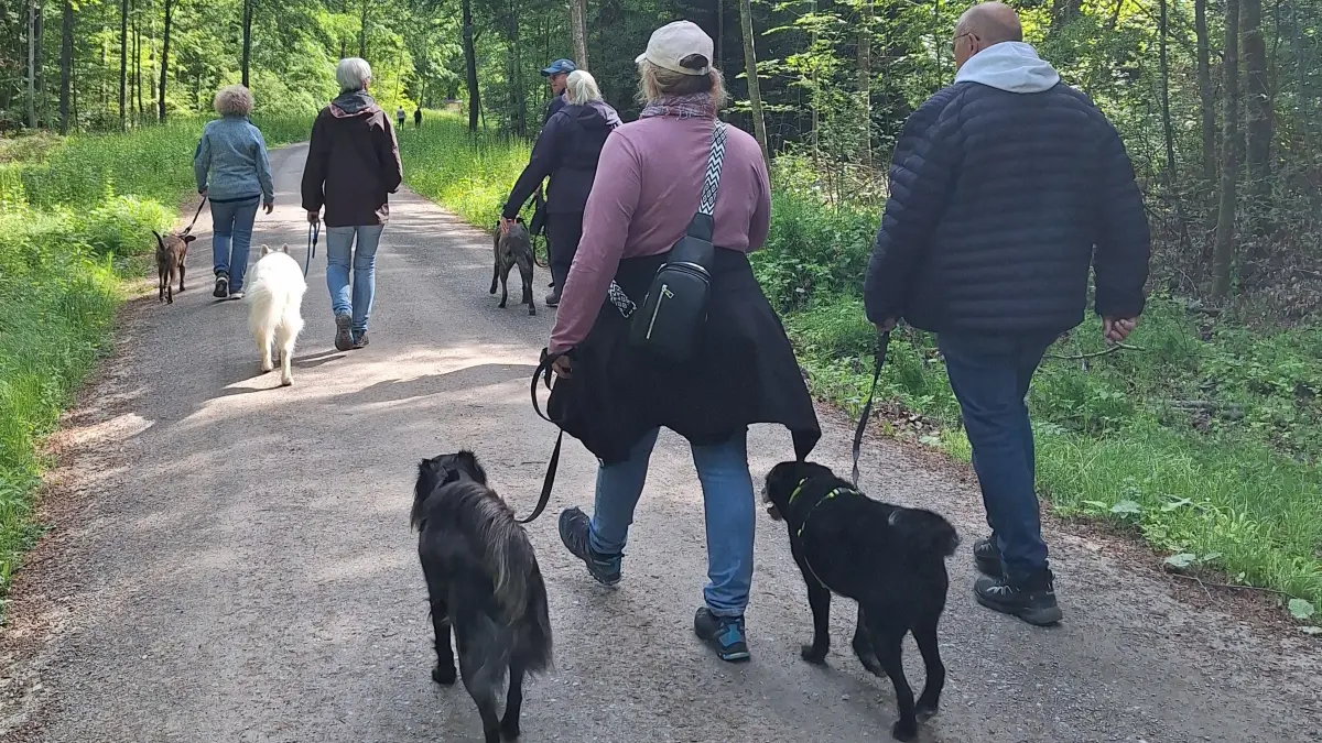 Hundewanderung