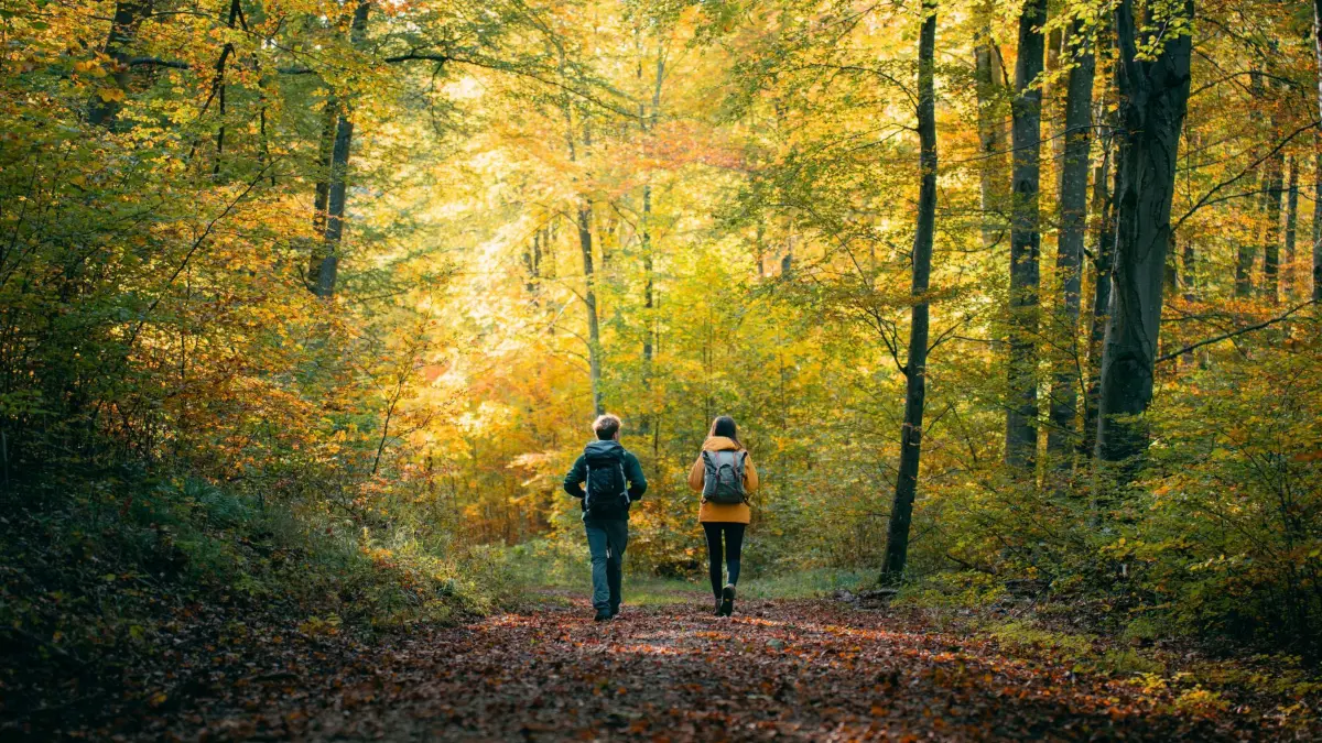 Wandern auf der Alb