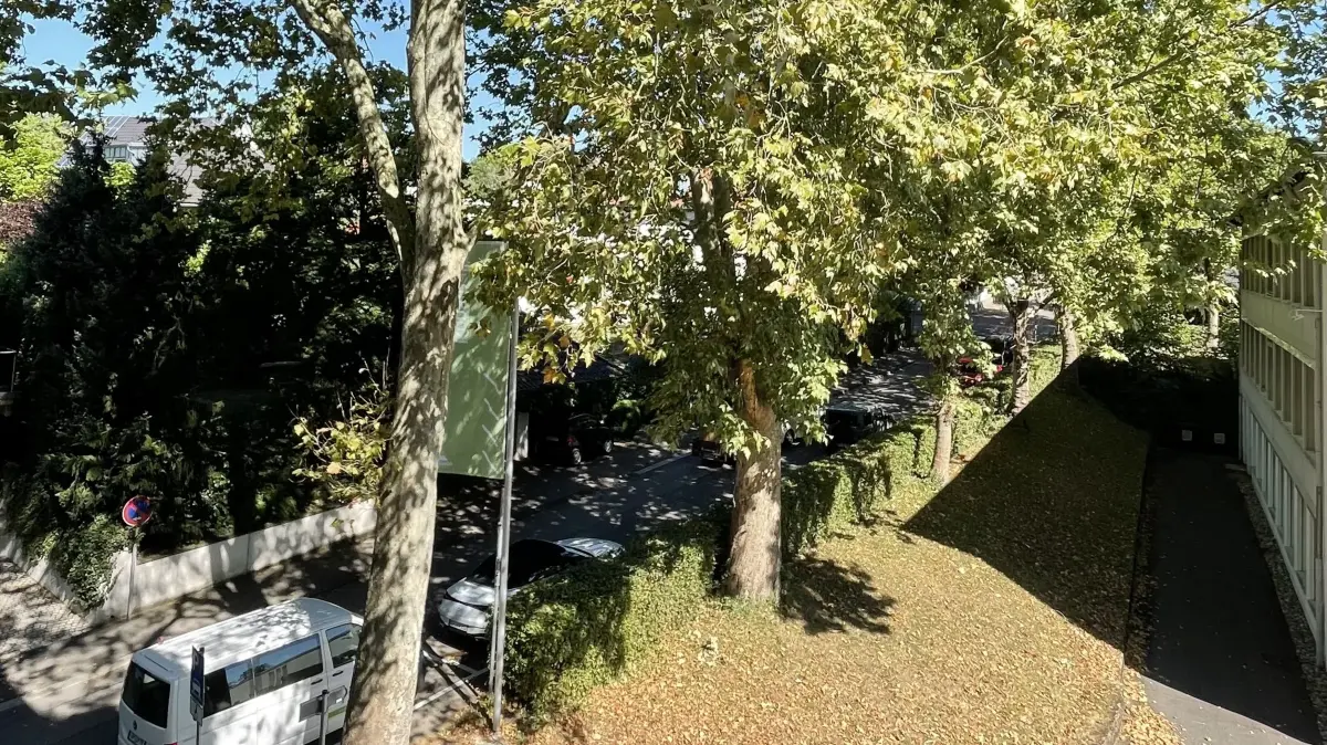 Trockenheit macht den Bäumen im Göppinger Stadtgebiet schwer zu schaffen.