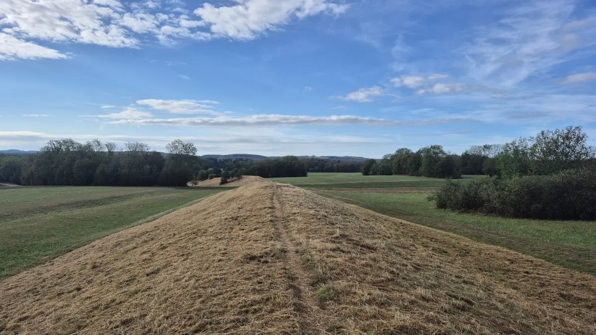 Das Gebiet am Heidengraben in Grabenstetten ist eigentlich besonders artenreich. Viele Schmetterlinge und andere Insekten leben hier. Doch nun wurde hier sorgfältig gemäht.
