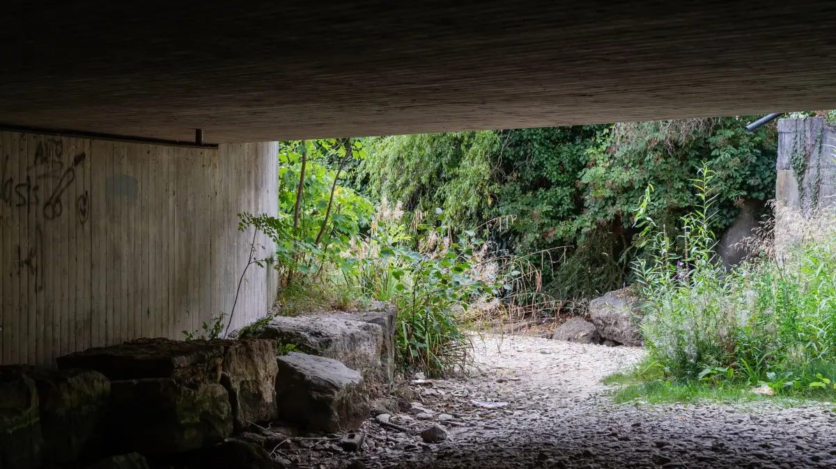 Trockenheit in Mössingen: Wo früher ein Fluss war, gibt es jetzt nur den Tod.