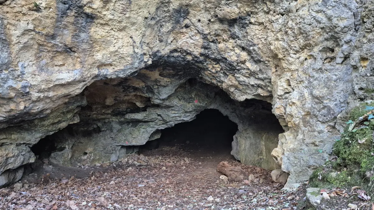 Die Barnberghöhle befindet sich oberhalb der Neuffener Steige.