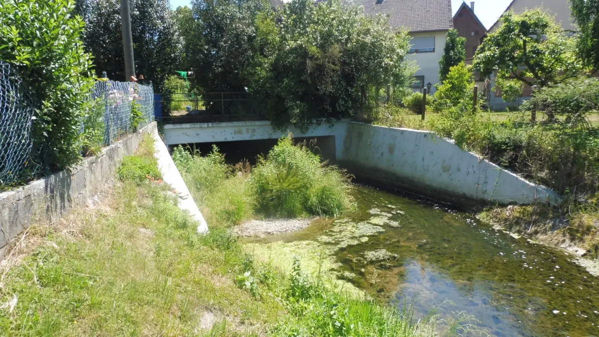 Der Mühlbach sollte nach Ansicht eines Mühlheimers an der neuralgischen Stelle ausgebaggert werden, damit es nicht zu einem Hochwasser komme.