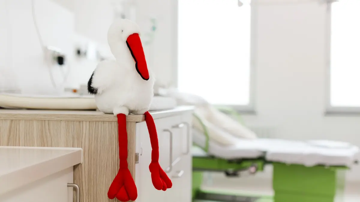 Mit dem Hebammenkreißsaal erweitert das Klinikum Landkreis Freudenstadt sein Angebot für werdende Mütter.