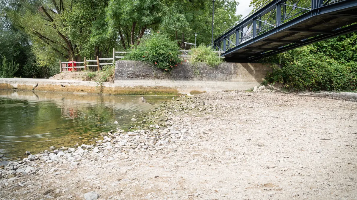 Trockenheit in Mössingen: Wo früher ein Fluss war, gibt es jetzt nur den Tod.