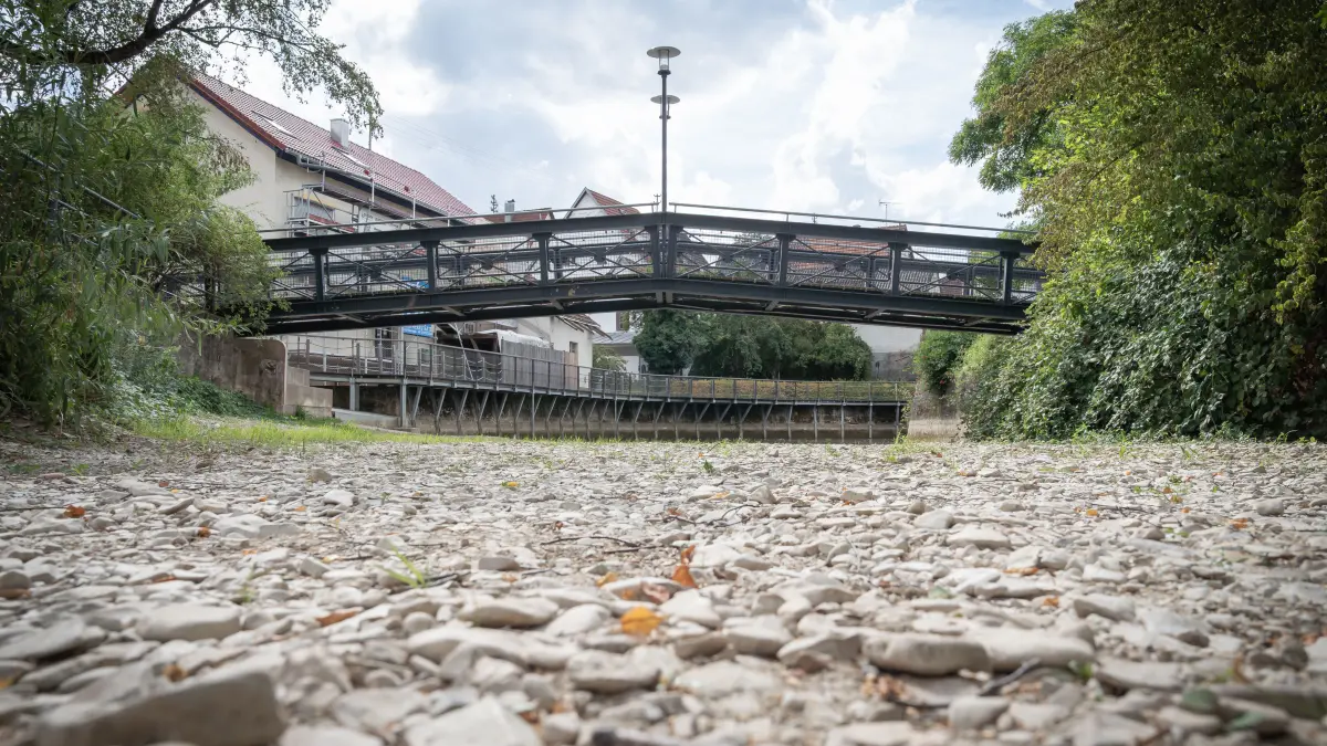 Trockenheit in Mössingen: Wo früher ein Fluss war, gibt es jetzt nur den Tod.