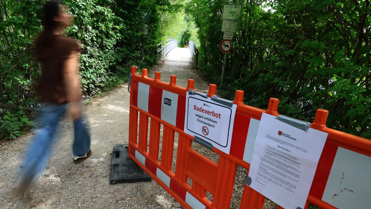Baden verboten am Aileswasenwasensee in Neckartailfingen: Wegen Hitze und Trockenheit sind dort viele Fische gestorben.