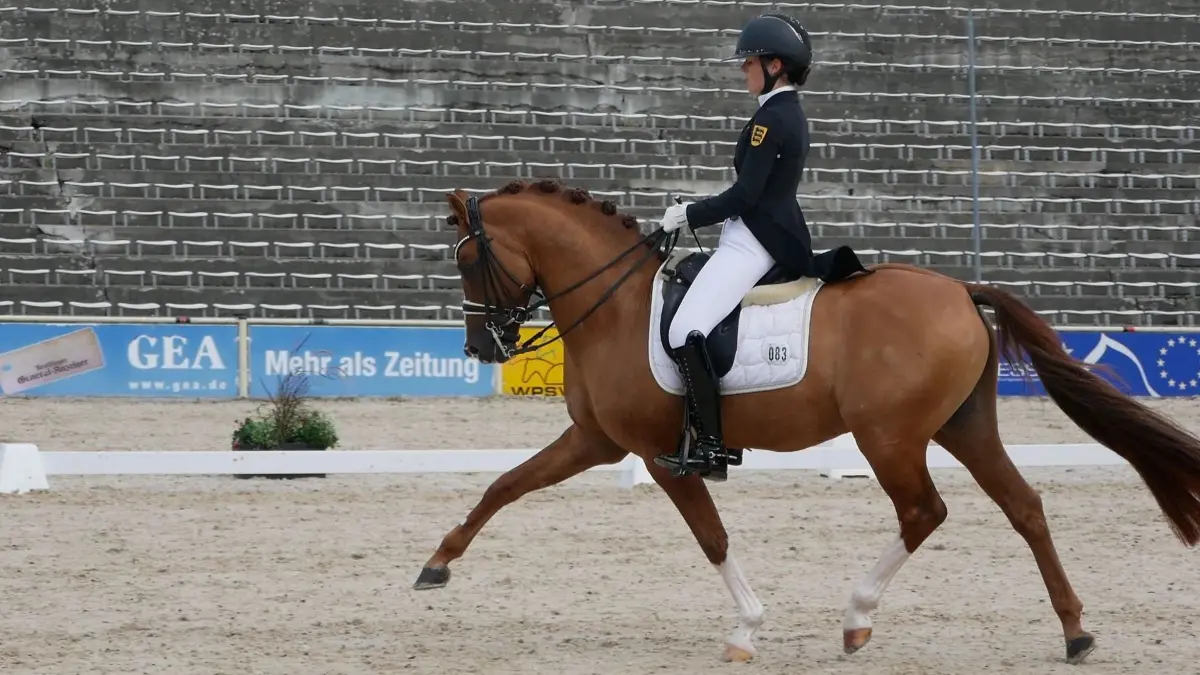 Ann Cathrin Rieg setzte mit Steendieks Derrick Dressurprüfung Klasse S*** den glanzvollen Schlusspunkt.