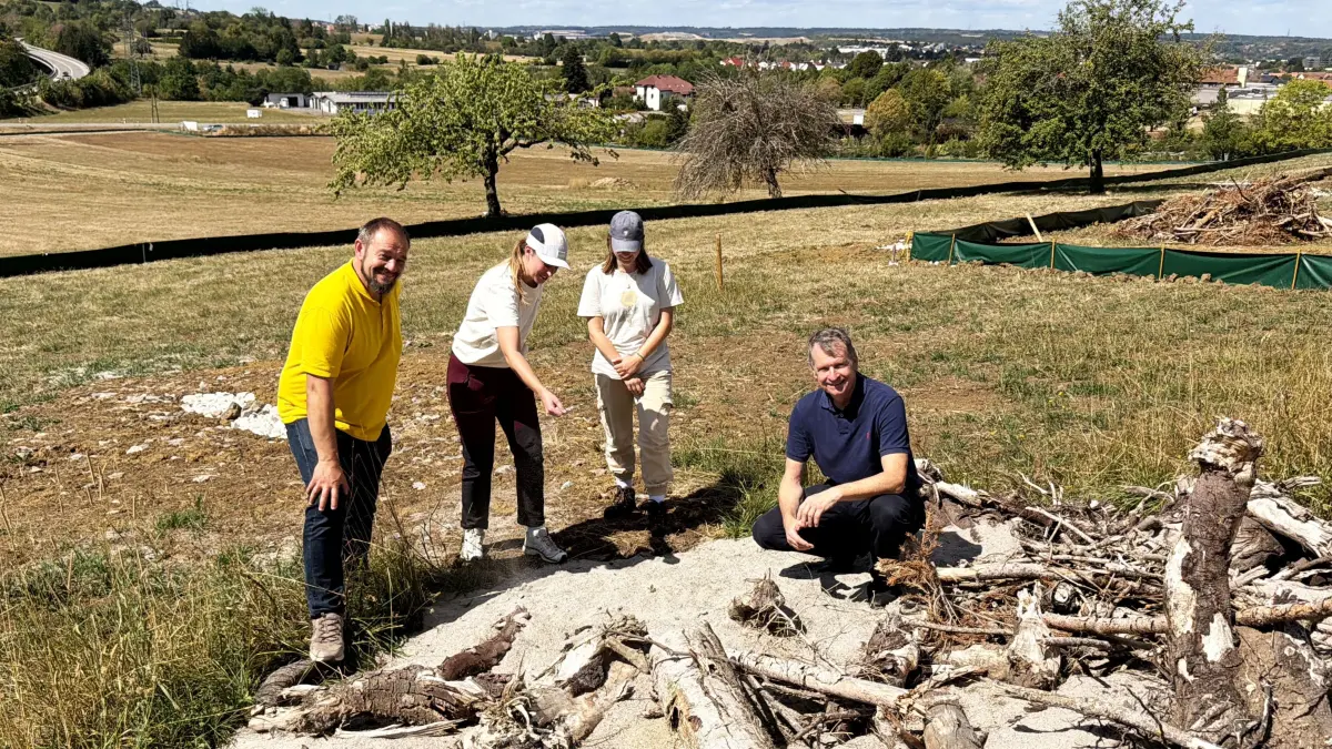 Vor Ort bei der Umsiedlungsaktion: Landrat Günther-Martin Pauli (rechts), Projektleiter Markus Riester und die Biologinnen Pauline Pfau und Lea Heinze.