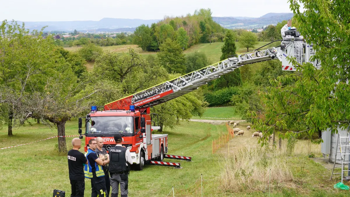 Zell unter Aichelberg: Manipulation an Sendemast sorgt fuer Grosseinsatz: In den fruehen Morgenstunden des Freitags nahm ein zunaechst unscheinbarer technischer Ausfall in Zell unter Aichelberg im Landkreis Goeppingen eine ungewoehnliche Wendung. Techniker von T-Mobile stellten bei der Kontrolle eines ausgefallenen Sendemasts Spuren fest, die auf eine Manipulation der Anlage hindeuten. Kurz darauf wurde die Polizei alarmiert.<br />
<br />
Was die Einsatzkraefte vor Ort vorfanden, liess schnell vermuten, dass es sich nicht um einen gewoehnlichen technischen Defekt handelte. Nach bisherigen Erkenntnissen wurde ein Bauteil der Sendeanlage manipuliert beziehungsweise beschaedigt. Zudem wurden Kabel aus einer Sendeeinheit herausgerissen.<br />
<br />
Wie ein Techniker von T-Mobile vor Ort in Ruecksprache mitteilte, sei der entstandene Schaden enorm. Fuer die Bevoelkerung koennte der Ausfall deshalb noch einige Zeit spuerbar sein. Nach derzeitiger Einschaetzung kann es bis zur Mitte der kommenden Woche zu Stoerungen im Handynetz kommen. Wann der Schaden tatsaechlich vollstaendig behoben werden kann, ist aktuell jedoch noch unklar.<br />
<br />
Die Polizei reagierte mit einem groesseren Aufgebot. Neben Kraeften der Spurensicherung und Kriminaltechnik waren auch Bereitschaftspolizisten im Einsatz. Der Bereich wurde untersucht und nach moeglichen Spuren abgesucht. Dabei sicherten die Ermittler unter anderem moegliche DNA-Spuren und Fingerabdruecke.<br />
<br />
Auch die Feuerwehr unterstuetzte den Einsatz. Die Feuerwehr Zell war vor Ort, ebenso die Feuerwehr Weilheim, die mit einer Drehleiter anrueckte. Gemeinsam unterstuetzten die Einsatzkraefte die Arbeiten rund um die Sendeanlage.<br />
<br />
Noch ist voellig unklar, was hinter dem Vorfall steckt. Die Polizei hat Ermittlungen in alle Richtungen aufgenommen. Hinweise auf einen moeglichen Taeter oder ein Motiv liegen derzeit nicht vor.<br />
<br />
Mit Einzelheiten haelt sich die Polizei aktuell zurueck. Zu gross ist die Gefahr, dass Informationen ueber den Stand der Ermittlungen moegliche Taeter warnen oder die weitere Spurensuche beeintraechtigen koennten. Deshalb bleibt zunaechst vieles offen.<br />
<br />
Sicher ist bislang nur: Was am Freitagmorgen in Zell unter Aichelberg zunaechst wie ein technischer Ausfall aussah, beschaeftigt nun die Polizei. Ein beschaedigtes Bauteil, herausgerissene Kabel und gesicherte Spuren werfen Fragen auf. Gleichzeitig koennte der Schaden fuer die Nutzer des Mobilfunknetzes noch mehrere Tage spuerbar bleiben. Wer sich an der Sendeanlage zu schaffen machte – und warum – soll nun die weitere Ermittlungsarbeit klaeren.