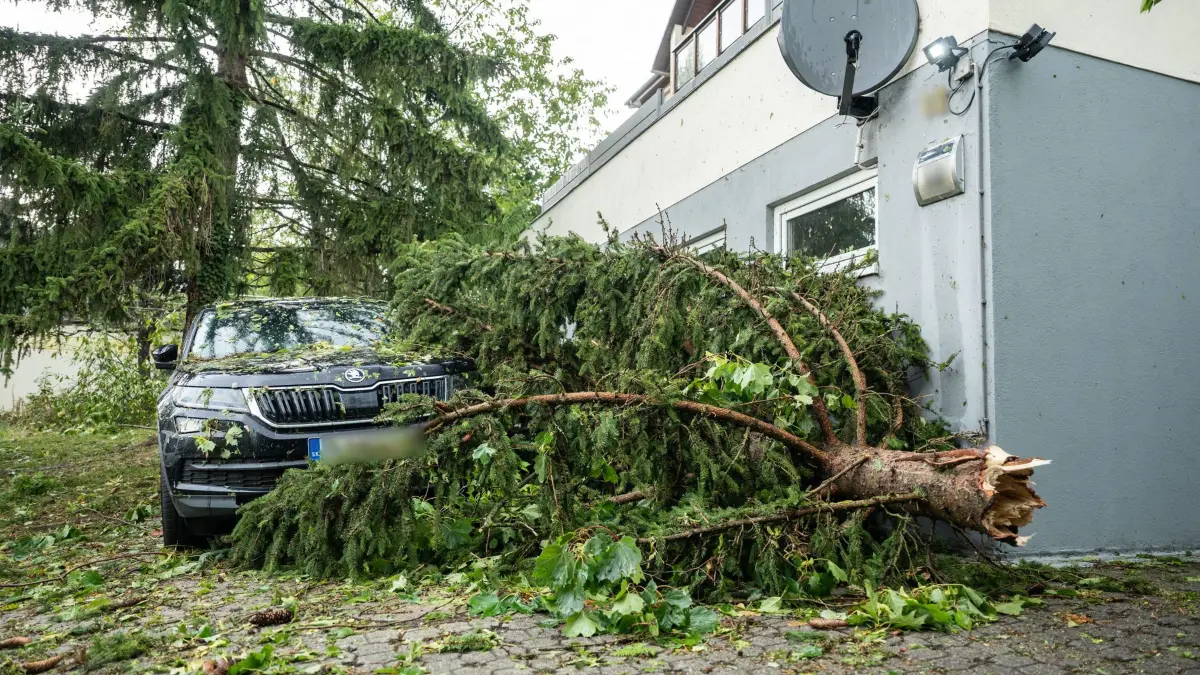 Schwere Unwetter in Baden-Württemberg: 28.08.2026, Baden-Württemberg, Singen: Ein Baum liegt nach schweren Unwettern im Ortsteil Bohlingen im Landkreis Konstanz auf einem Auto. Foto: Silas Stein/dpa +++ dpa-Bildfunk +++
