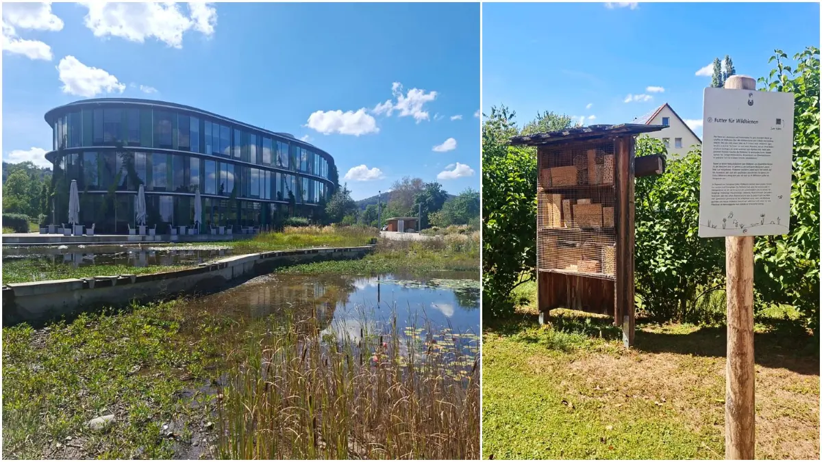 Spielplatzbienchen. Kleine Entdeckungstour durch die Natur: Der Wala Biodiversitätspfad in Bad Boll.