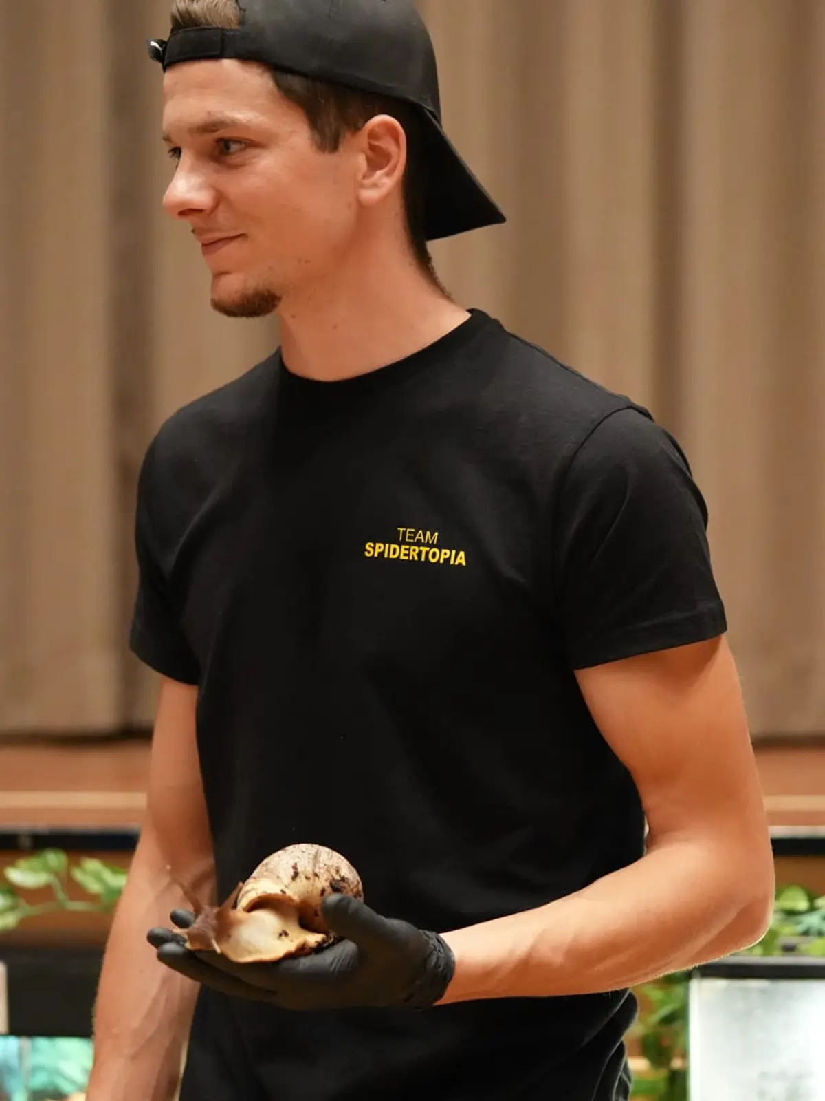 Schnecke