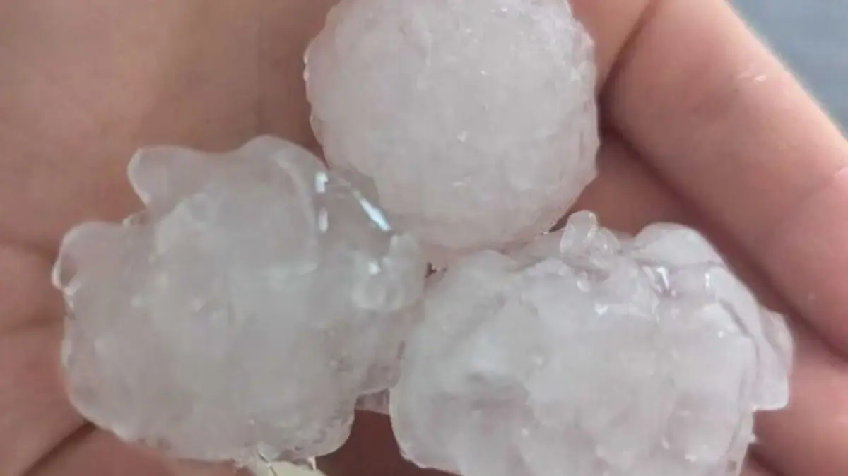 Das Unwetter am Freitag (28. August) war wirklich extrem. Es ging unglaublich schnell: Gegen 10:30 Uhr wurde es plötzlich gespenstisch dunkel, als ob die Nacht hereinbricht. Kurz darauf setzte ein massiver Sturm, begleitet von heftigem Hagelschauer, ein, der für etwa 2 Minuten anhielt. Die Intensität und die Lautstärke der Einschläge waren beängstigend. Innerhalb von Minuten war alles weiß.