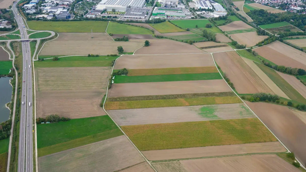 Pfuhler Ried