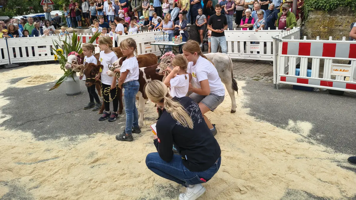 Kälberpräsentation Geifertshofen