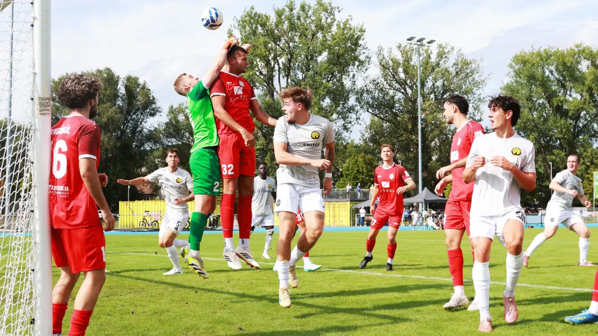 Louis Hermann (vorne Mitte in grau) erzielte beim 1:3 gegen die SG Schorndorf das 1:0 für den TSV Crailsheim. Es war bereits sein fünfter Treffer in dieser Saison – macht Platz 1 in der Torjägerliste der Landesliga 1, gemeinsam mit Lukas Lindner vom TSV Ilshofen.