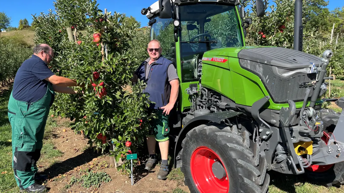 Hansjürgen und Steffen Köpf (von links) und ihre Familie arbeiten die kommenden Wochen durch. Die vier Hektar großen Plantagen ernten die Obstbauern zu Sechst ab.