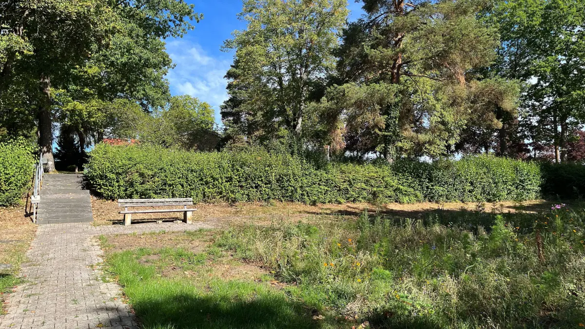 Friedhof