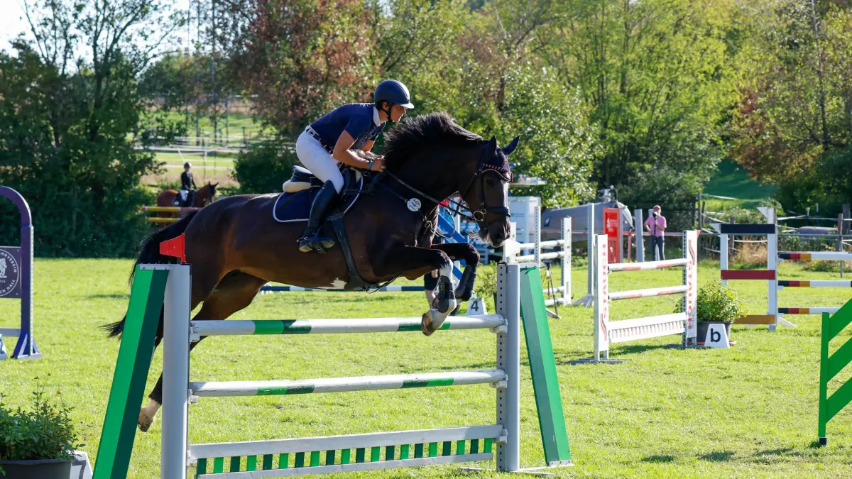 Reitturnier 2026, RFV Schwäbisch Hall, Dressur, Springreiten