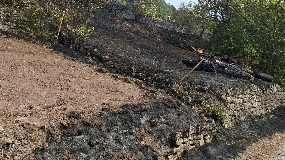 Flächenbrand in Hirschau