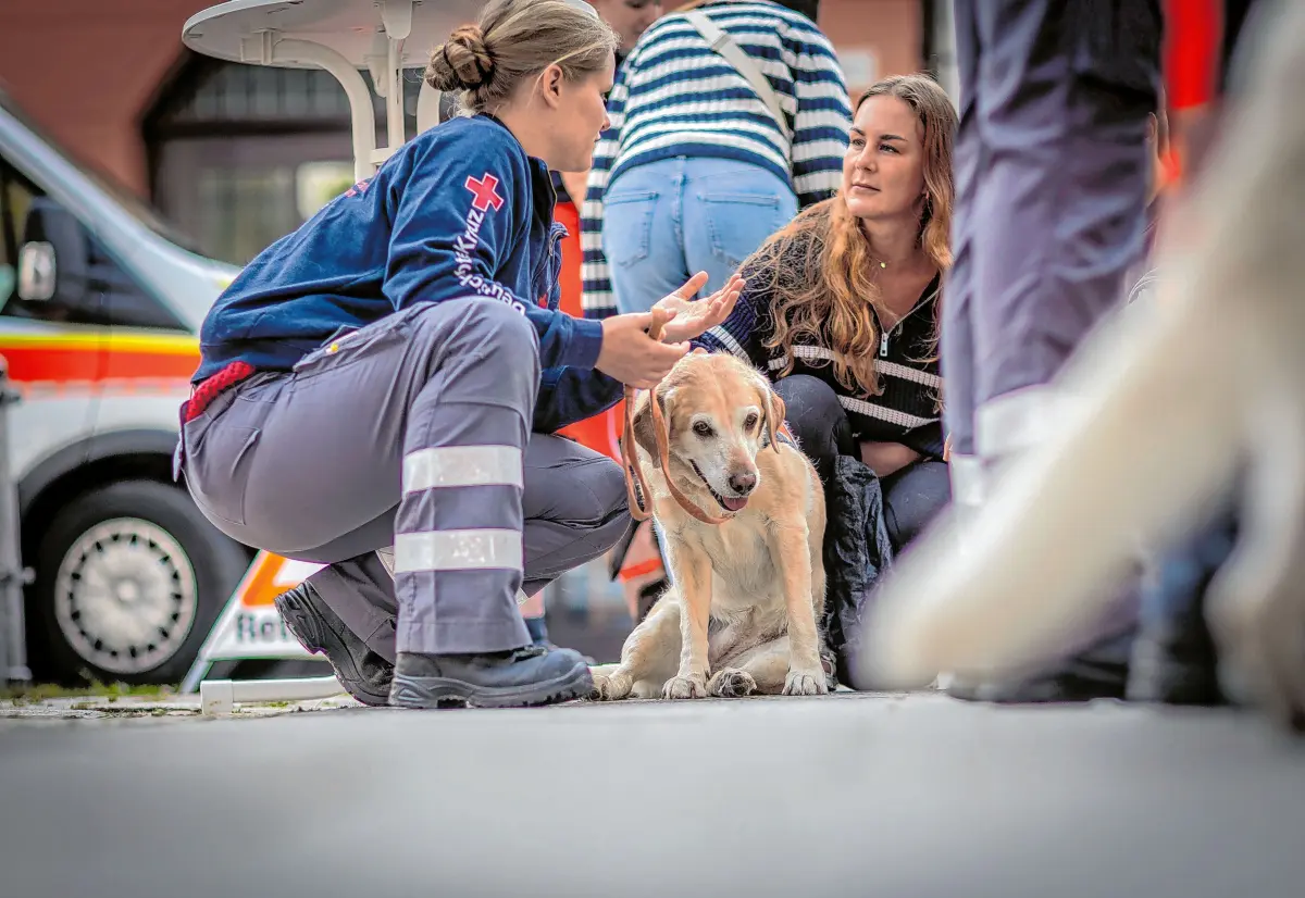 BILDERSEITE: Happy Family Day der SWP⇥Matthias Kessler