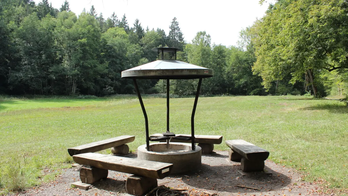 Tübingen Schönbuch Grillstelle Grillen Grillverbot Trockenheit Wald