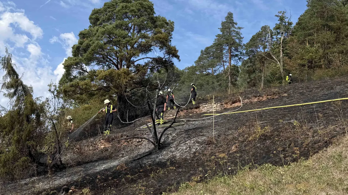 Feuerwehr löscht Vegetationsbrand am Hirschauer Berg