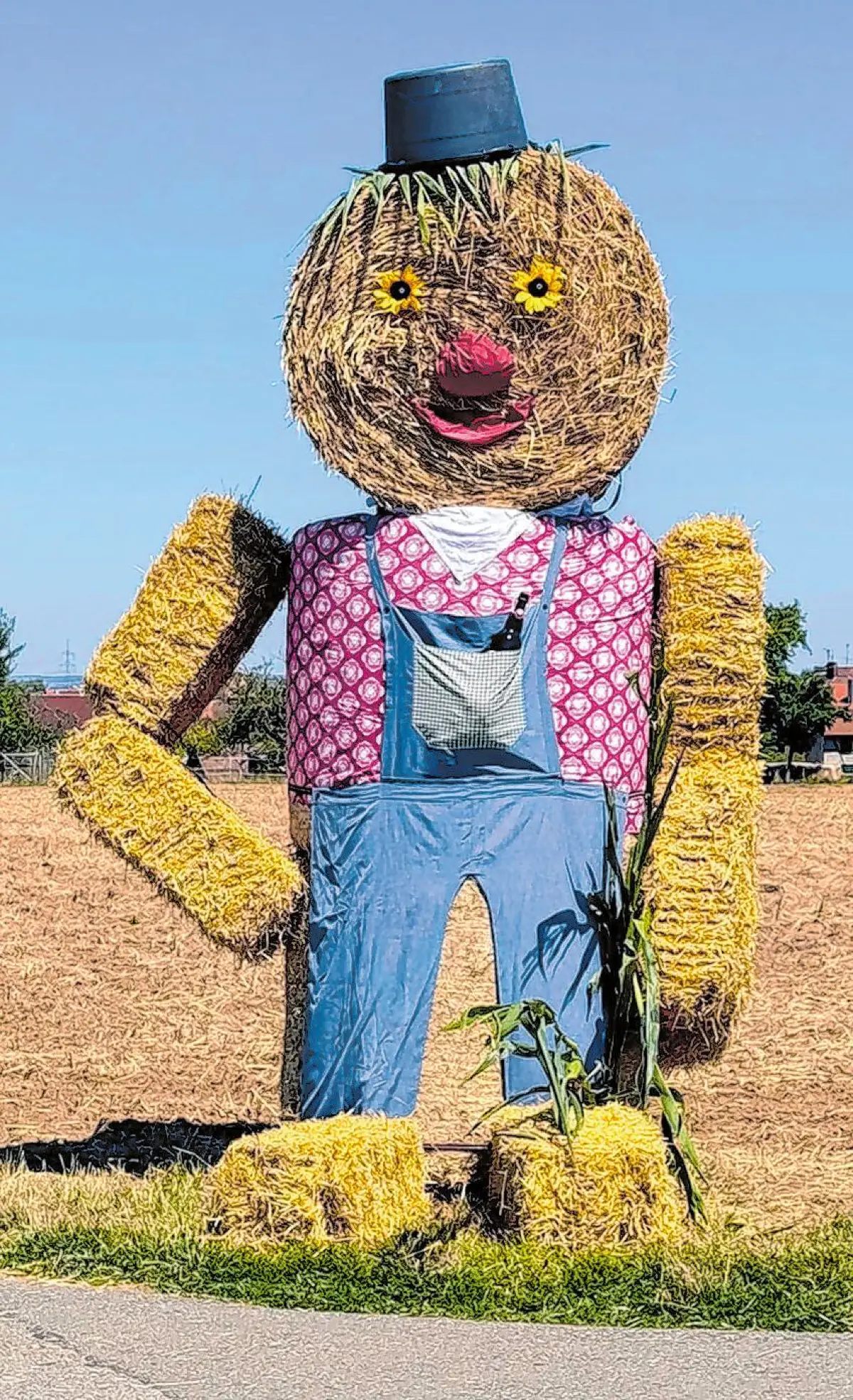 Ein freundlicher Geselle und eine freundliche Gesellin stehen am Straßenrand: Zwiebel-Bert und Zwiebel-Berta laden mit einem Lächeln im Strohgesicht zum Fest ein. ⇥Foto: Vereinsgemeinschaft Schwalldorf