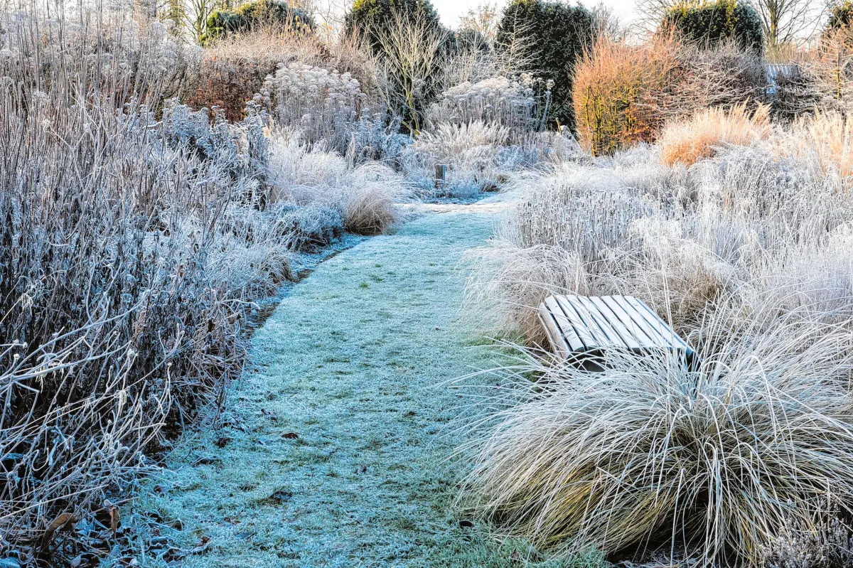 Gräser sehen nicht nur prächtig aus, sondern bieten kleinen Tieren im Garten Schutz und Nahrung.⇥⇥Foto: wiert/adobe.stock.com